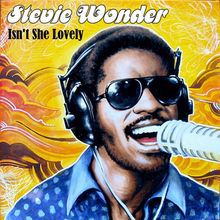 Stevie Wonder Isn't She Lovely
