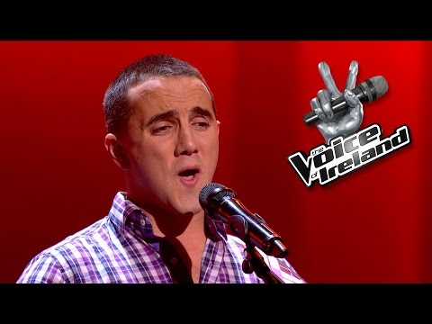 Brian Roche - Mr. Jones - The Voice of Ireland - Blind Audition - Series 5 Ep6