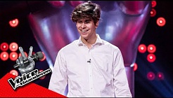 Luca zingt 'Cannonball' | Blind Audition | The Voice van Vlaanderen | VTM