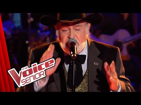 Bob Dylan - Blowin' In The Wind (Lutz Adam) | The Voice Senior | Blind Audition