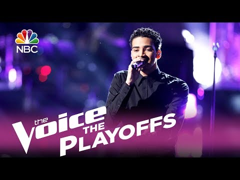 The Voice 2017 Anthony Alexander - The Playoffs: "Perfect"