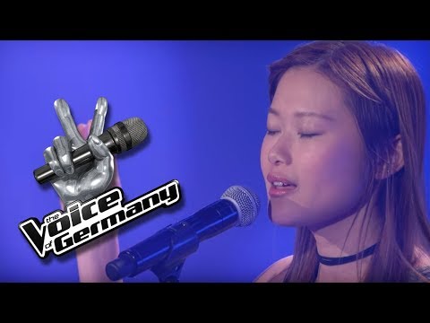Simon & Garfunkel - The Sound Of Silence | Hang-Shuen Lee | The Voice of Germany 2017 | Audition
